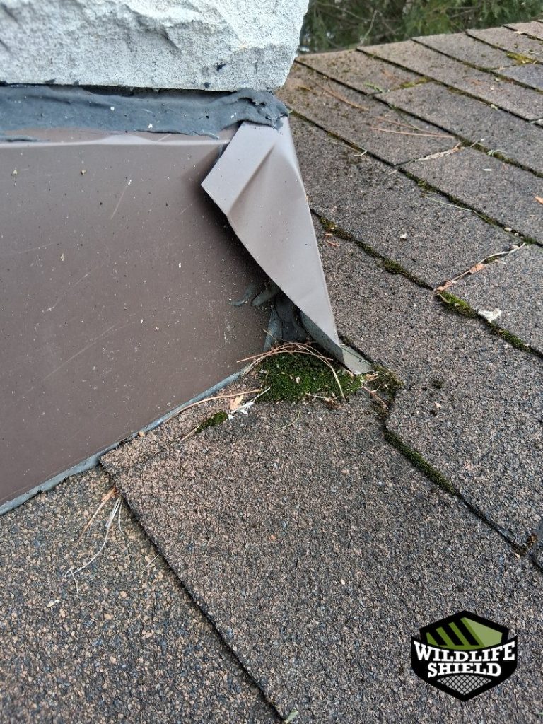 minden hills ontario chimney flashing repair 03