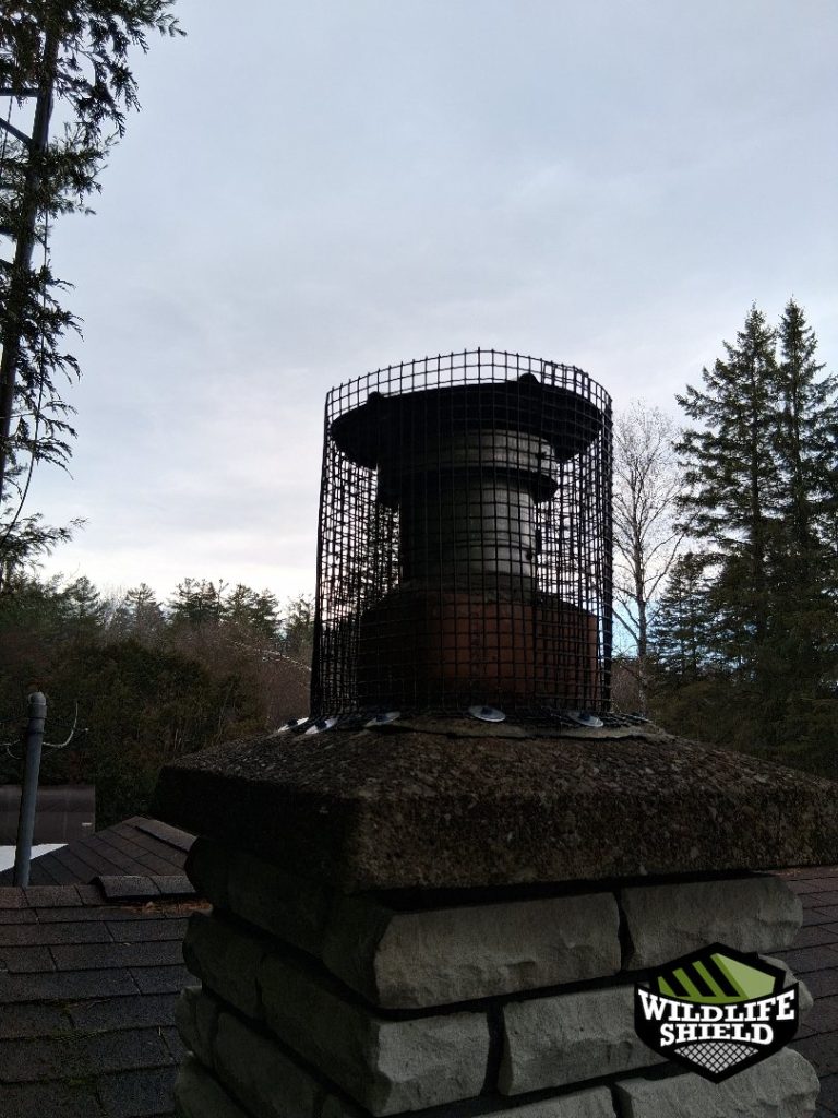 minden hills ontario chimney screening after 04