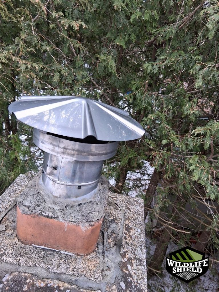 minden hills ontario chimney screening after 05