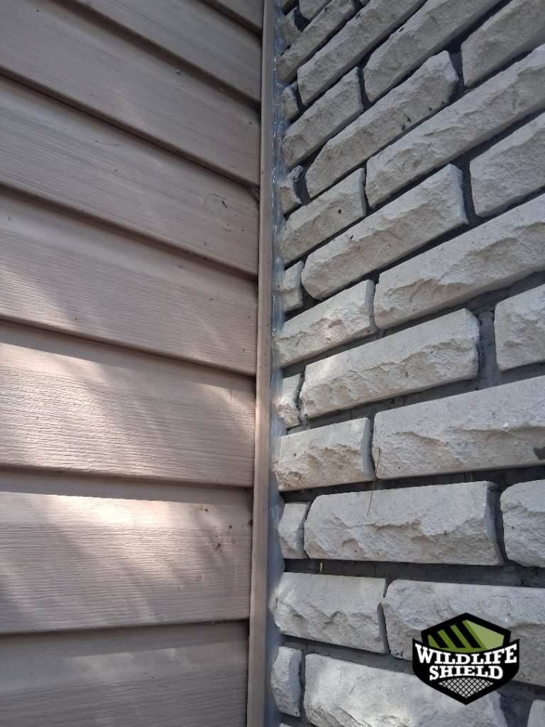 minden hills ontario chimney sealant repair 06