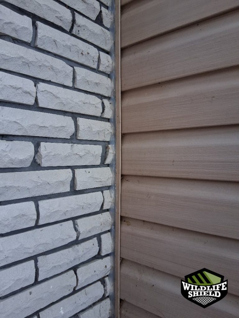 minden hills ontario chimney sealant repair 07