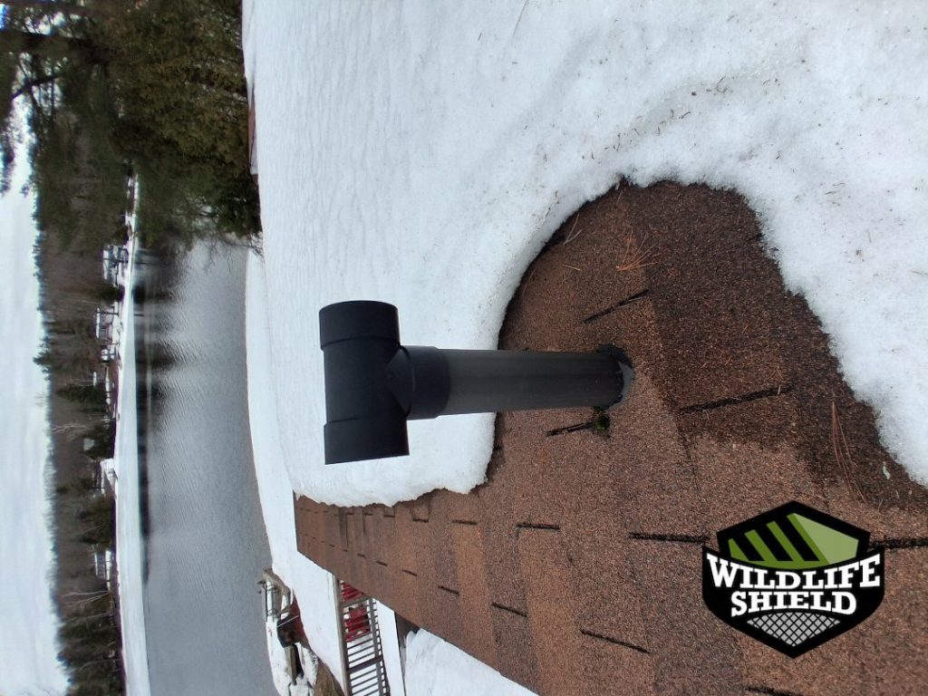 minden hills ontario roof vent overview after 01