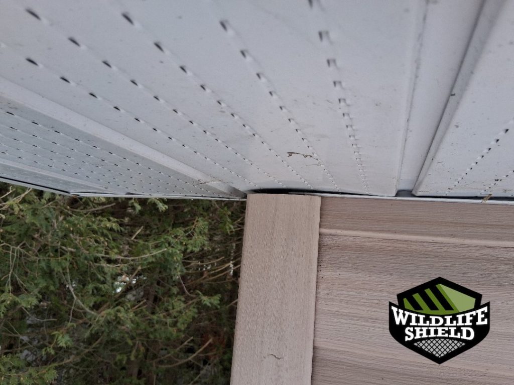 minden hills ontario soffit overview inspection 07