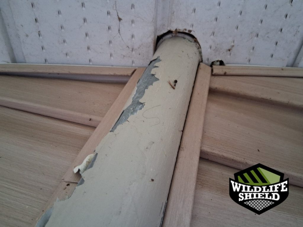 minden hills ontario soffit structural damage inspection 09