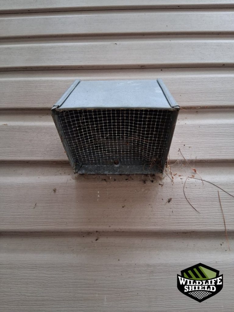 minden hills ontario wall vent screening after 08