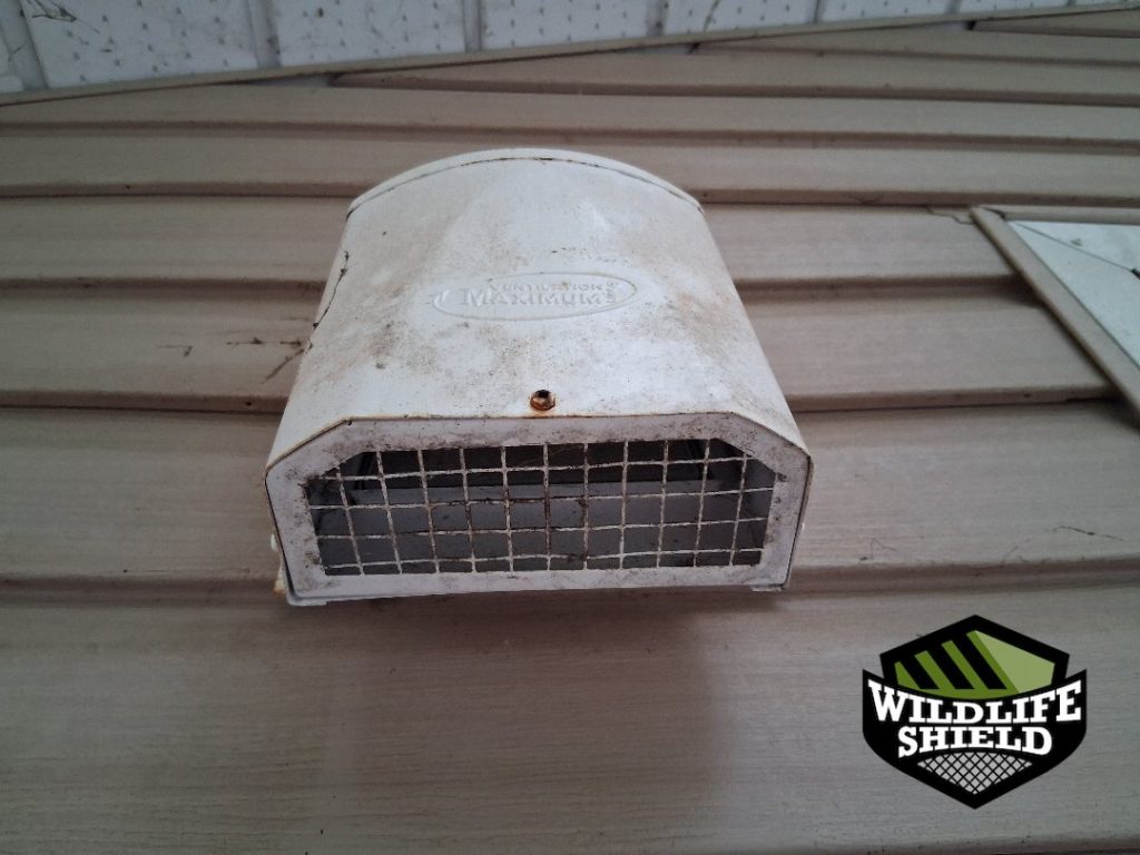 minden hills ontario wall vent screening after 10